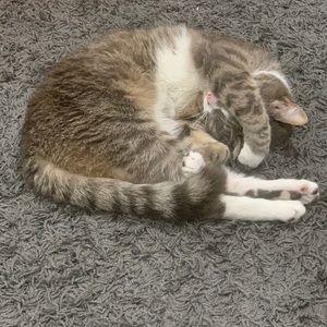 Meet your Posher, Daquan